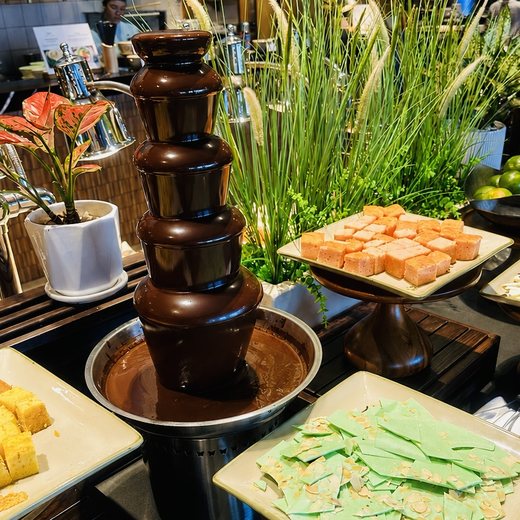 A chocolate fountain at the breakfast was an incredible treat!